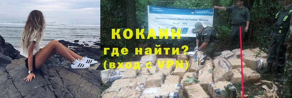 ешки Нефтегорск